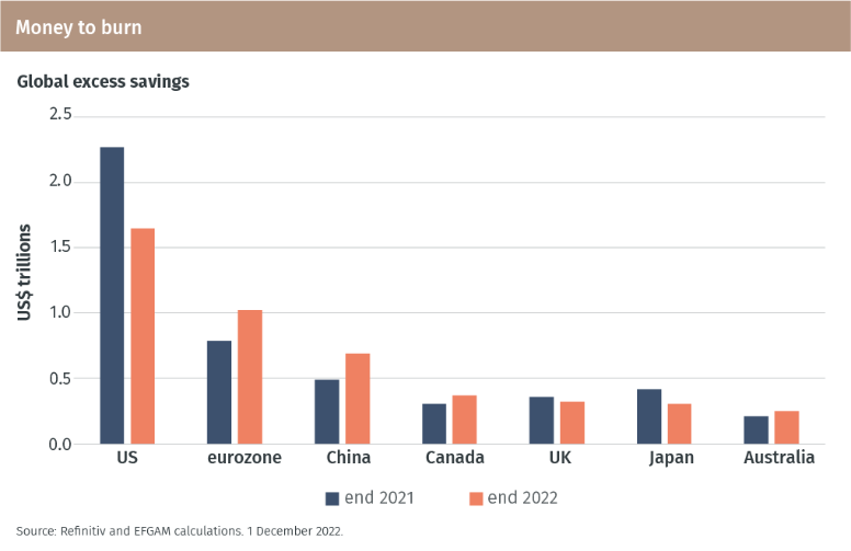 EFG_Outlook-2023_Theme 10_Chart 19_v0.1.PNG